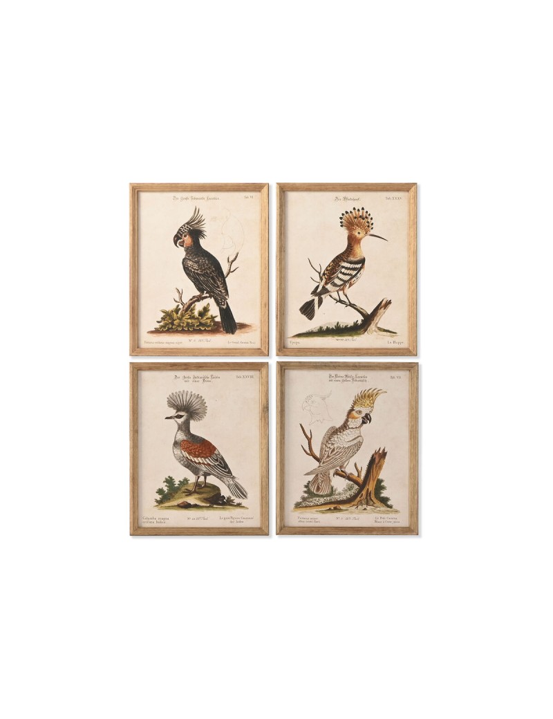 Quadro Home ESPRIT Beige Tropicale 40 x 2 x 50 cm (4 Unità)