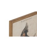 Cuadro Home ESPRIT Beige Tropical 40 x 2 x 50 cm (4 Unidades)