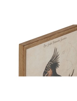 Cuadro Home ESPRIT Beige Tropical 40 x 2 x 50 cm (4 Unidades)