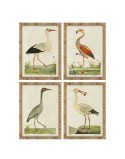 Cuadro Home ESPRIT Beige Pájaros Tradicional 50 x 2,5 x 40 cm (4 Unidades)