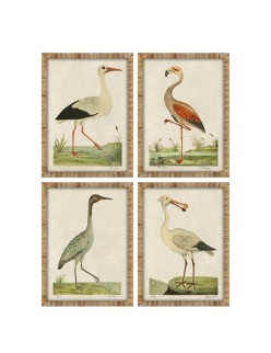 Cuadro Home ESPRIT Beige Pájaros Tradicional 50 x 2,5 x 40 cm (4 Unidades)