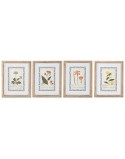 Cuadro Home ESPRIT Shabby Chic Plantas botánicas 40 x 2,5 x 50 cm (4 Unidades)