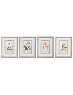 Cuadro Home ESPRIT Shabby Chic Plantas botánicas 40 x 2,5 x 50 cm (4 Unidades)