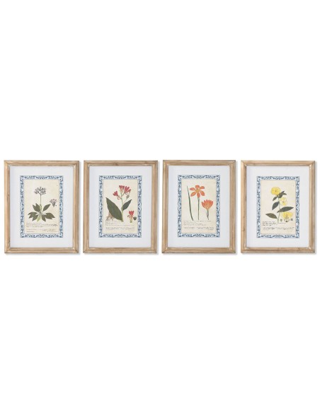 Cadre Home ESPRIT Shabby Chic Plantes botaniques 40 x 2,5 x 50 cm (4 Unités)