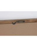 Cuadro Home ESPRIT Shabby Chic Plantas botánicas 40 x 2,5 x 50 cm (4 Unidades)
