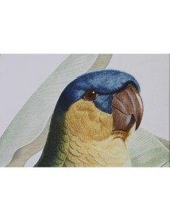 Quadro Home ESPRIT Giallo Verde Pappagallo Tropicale 50 x 2,5 x 70 cm (2 Unità)