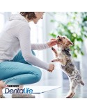 Pienso Purina Adulto Pollo 69 g