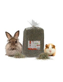 Alimento para Conejos Recek Chinchilla Cobaya Hámster Rata Ratón Roedores Aves 1,5 Kg