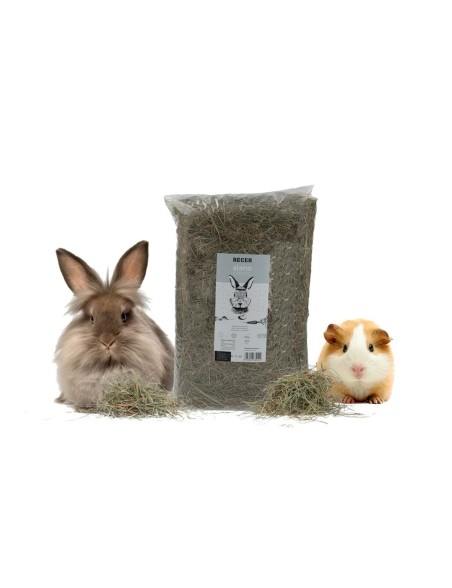 Alimento para Conejos Recek Chinchilla Cobaya Hámster Rata Ratón Roedores Aves