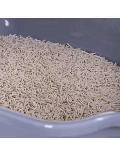 Caixa de Areia para Gatos Diamentiq 4004508810DIA Branco Cinzento Plástico