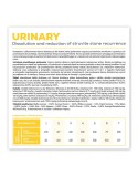 Cibo per gatti VETEXPERT Urinary Cat 6 Kg