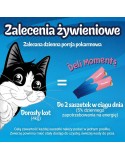 Snack for Cats Purina Felix Deli Moments Salmon 4 x 10 g
