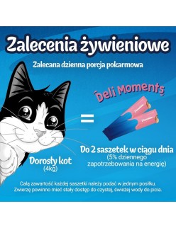 Snack for Cats Purina Felix Deli Moments Salmon 4 x 10 g