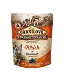 Wet food Carnilove Dog Pouch 300 g
