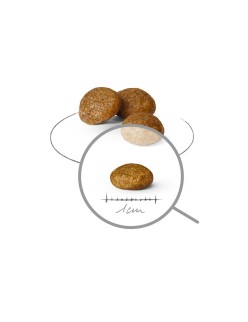 penso Royal Canin Adult x- small SHN Pássaros 500 g