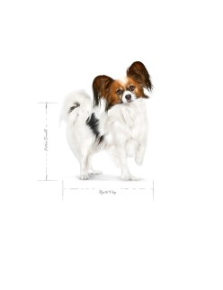 penso Royal Canin Adult 8+ x- small SHN Pássaros 1,5 Kg
