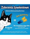 Snack für Katze Purina Felix Deli Moments Chicken Huhn 4 x 10 g