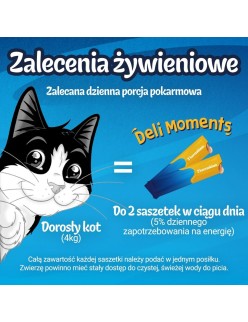 Snack for Cats Purina Felix Deli Moments Chicken Chicken 4 x 10 g