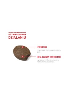 Snack para Perros Royal Canin Supplements Dog Digestion Adult 160 g