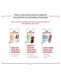 Snack para Perros Royal Canin Supplements Dog Digestion Adult 160 g
