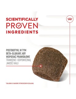 Snack para Perros Royal Canin Supplements Dog Digestion Adult 160 g