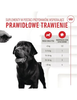 Snack para Perros Royal Canin Supplements Dog Digestion Adult 160 g