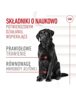 Hundesnack Royal Canin Supplements Dog Digestion Adult 160 g