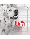 Snack para Perros Royal Canin Supplements Dog Digestion Adult 160 g
