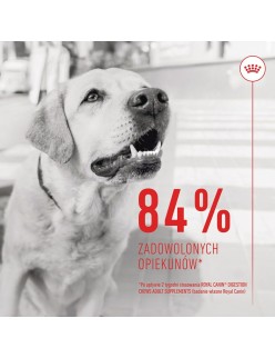 Snack para Perros Royal Canin Supplements Dog Digestion Adult 160 g