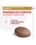 Snack para cães Royal Canin Urinary S/O Treats 230 g