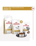Snack para cães Royal Canin Urinary S/O Treats 230 g