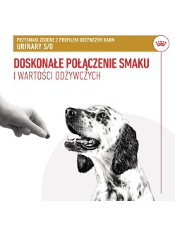 Snack para cães Royal Canin Urinary S/O Treats 230 g