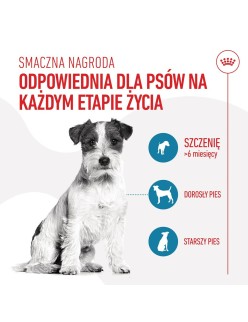 Snack para Perros Royal Canin Training Treats 110 g