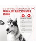 Snack para cães Royal Canin Supplements Dog Joint & Ageing Adult 240 g