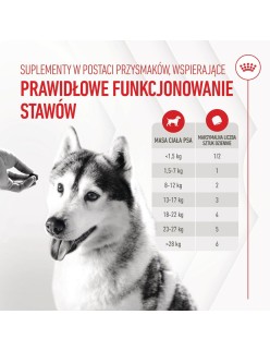 Snack para cães Royal Canin Supplements Dog Joint & Ageing Adult 240 g