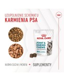 Snack para cães Royal Canin Supplements Dog Joint & Ageing Adult 240 g