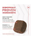 Snack para cães Royal Canin Supplements Dog Joint & Ageing Adult 240 g