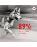 Snack para cães Royal Canin Supplements Dog Joint & Ageing Adult 240 g
