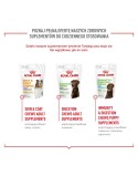 Snack para cães Royal Canin Supplements Dog Joint & Ageing Adult 240 g