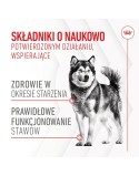 Snack para cães Royal Canin Supplements Dog Joint & Ageing Adult 240 g