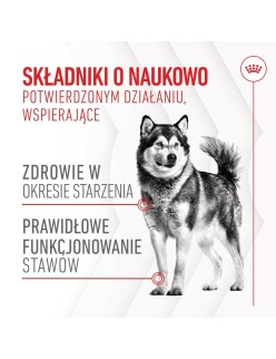 Snack para cães Royal Canin Supplements Dog Joint & Ageing Adult 240 g