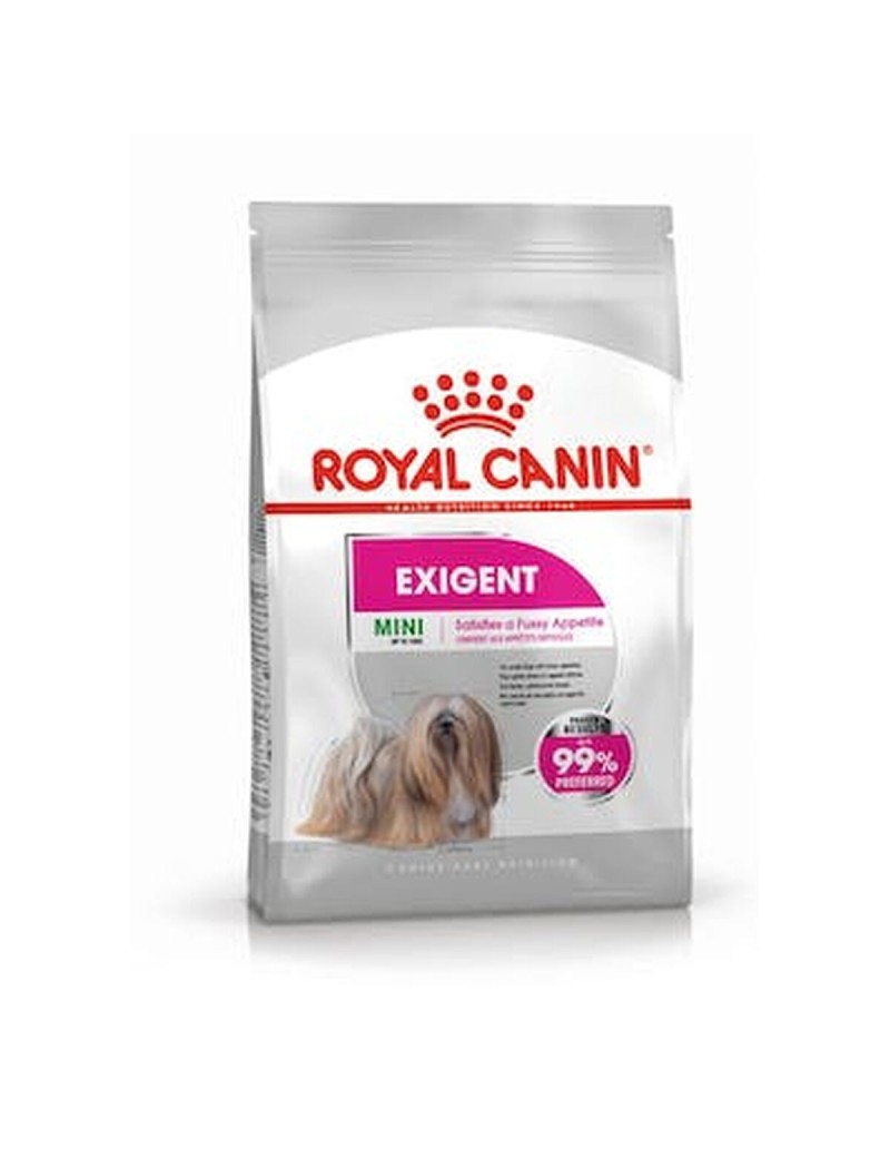 Pienso Royal Canin Mini Exigent Adulto Pollo Aves 3 Kg