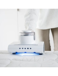 Aspirateur à main Taurus EST9489320L 300 W