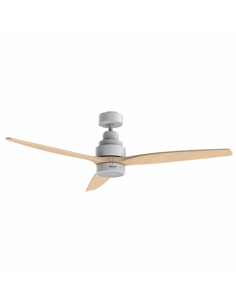 Ventilateur de Plafond Taurus
