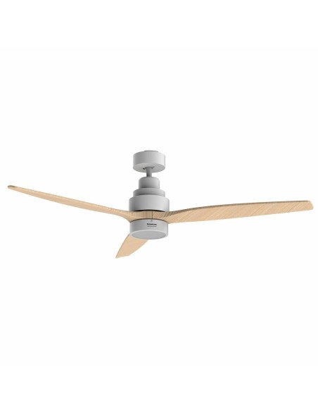 Ceiling Fan Taurus