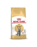 Aliments pour chat Royal Canin British Shorthair Adult Adulte 10 kg