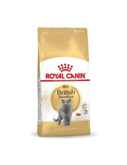 Aliments pour chat Royal Canin British Shorthair Adult Adulte 10 kg