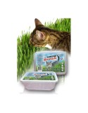 Alimentation Certech 10319
