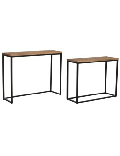 Consola Home ESPRIT Marrón Negro 96 x 30 x 77 cm (2 Piezas)