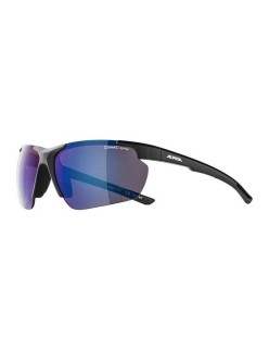 Lunettes de soleil Unisexe Alpina A8657332 Bleu Noir